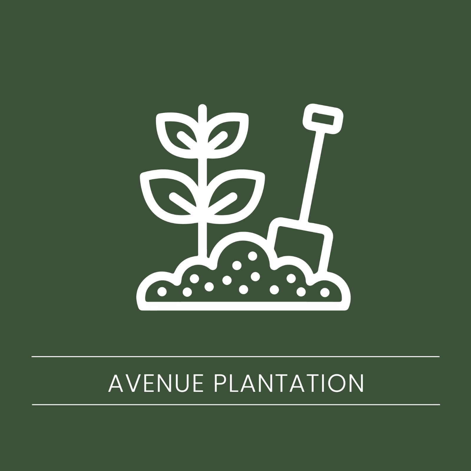 plantation